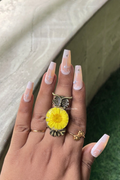 OWLET DAISY