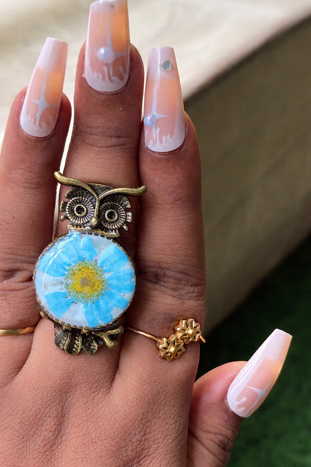 OWLET DAISY