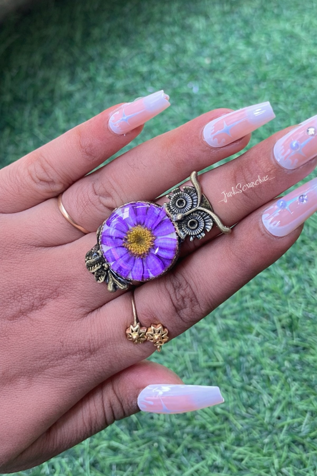 OWLET DAISY